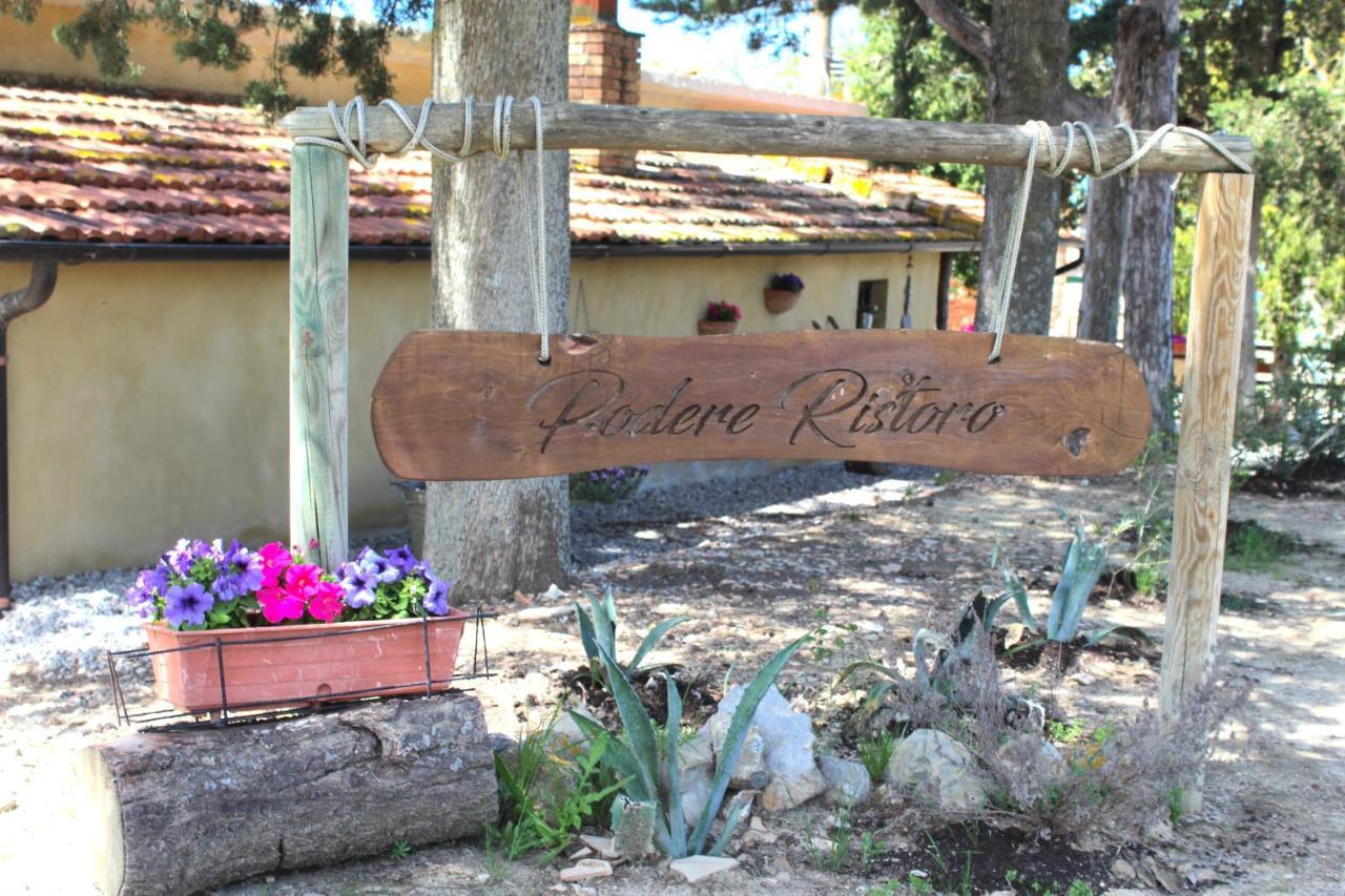 Апартаменти Casa Vacanza Podere Ristoro Сан-Джованні-д'Ассо Екстер'єр фото