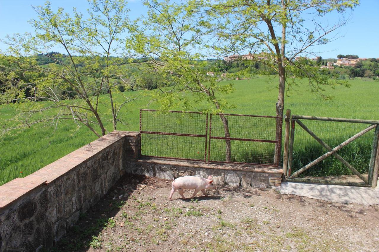 Апартаменти Casa Vacanza Podere Ristoro Сан-Джованні-д'Ассо Екстер'єр фото